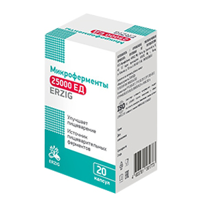 Эрциг/Erzig микроферменты капс. 25000ЕД 480мг №50